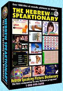 picture dictionary
